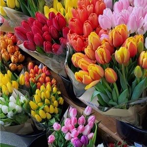 Meet your Posher, Nyia